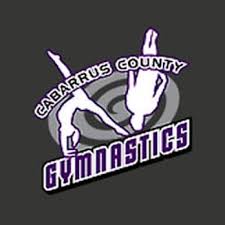Image result for Concorde Gymnastics Club