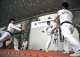 Image result for Reading Wtf Taekwondo