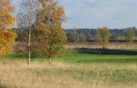 Image result for Feltwell Golf Club