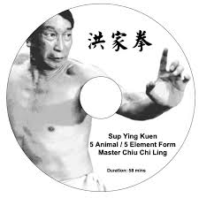 Image result for Chat Ying Kuen Kung Fu Club