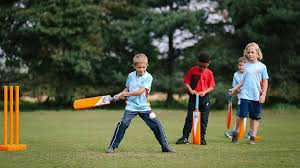 Image result for Barwick In Elmet Cricket Club