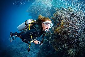 Image result for Divemaster Scuba