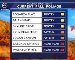 Image result for $$fall_akte__ort$$