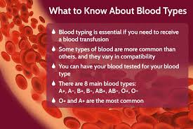 Image result for blood