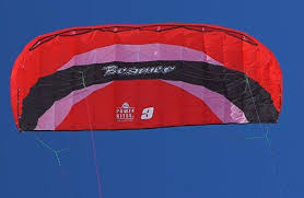 Image result for Baiter Power Kite