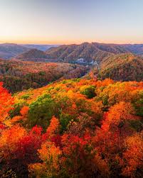 Image result for $$fall_akte__ort$$