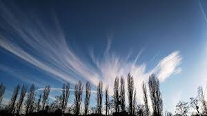 Attēlu rezultāti vaicājumam “Cirrus fibratus”