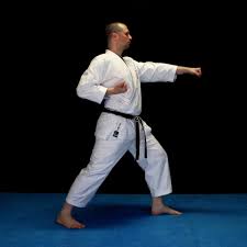 Image result for Junsui Shotokan Karate Do