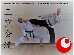 Image result for Nottingham Sankukai Karate