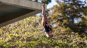 Image result for Aztec Divers