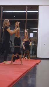 Image result for Elements Acro