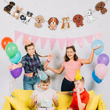 Image result for apupy