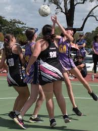 Image result for Civil Service (Ipswich) Netball Club