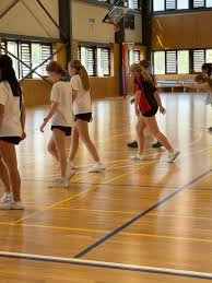 Image result for Newdigate Netball Club