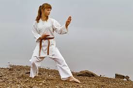 Image result for Jutsu Karate Association, Cobham, Surrey
