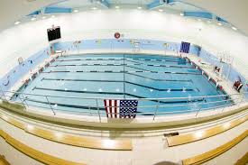 Image result for York University Pool Club