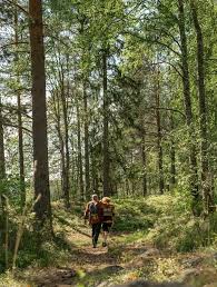 Image result for Tring Rambling Club