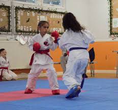 Image result for HEIWA SHOTOKAN KARATE CLUB
