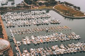 Image result for Dovey Yacht Club
