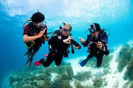 Image result for Deep and Wide Diving