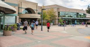 Image result for Surrey Sports Development Unit