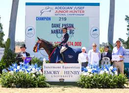 Image result for South Weylands Equestrian