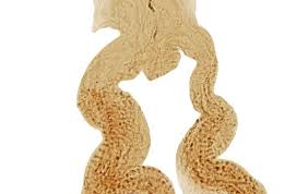 Attēlu rezultāti vaicājumam “Dienerella elongata”