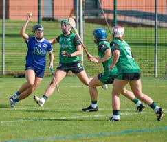 Image result for Ceann Creige Hurling and Camogie Club