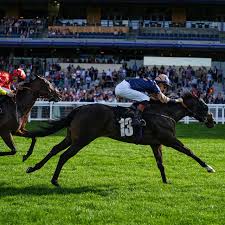 Image result for The Horse Racing Club