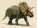 Dinosaurusi.com - Dinosaur Pictures! The Dinosaurs, Dinosaurs ...