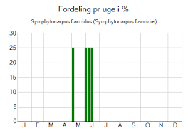 Attēlu rezultāti vaicājumam “Symphytocarpus flaccidus”