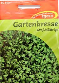 Image result for Gartenkresse