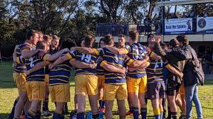 Image result for St Ives Rugby Club