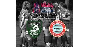 Image result for Leatherhead Football Club