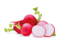 Image result for Radieschen