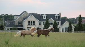 Image result for Lower Farm Stables