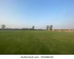 Image result for Beccles Town Cricket Club