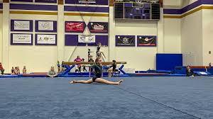 Image result for Aerodyne Gymnastics Club