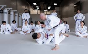 Image result for Oel Ju Jitsu Clubs