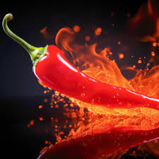 Afbeeldingsresultaat voor Szegedi 80 hot pepper