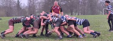 Image result for Haslemere Community Rugby Club