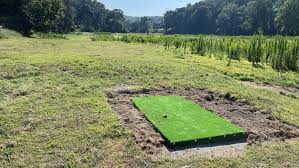 Image result for Ashville College Disc Golf Club