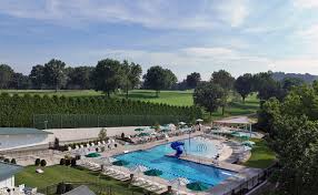 Image result for York University Pool Club