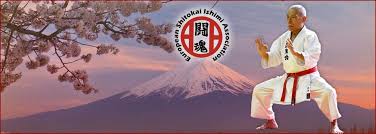 Image result for Shitokai Karate Club