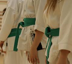 Image result for Haslemere Karate Club