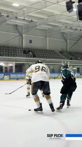 Image result for Streatham Night Wolves Ice Hockey Team