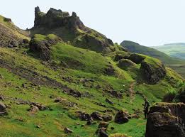 Attēlu rezultāti vaicājumam “Eurhynchiastrum pulchellum”