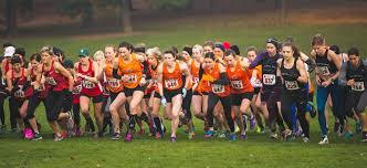 Image result for Westerlands Cross Country Club