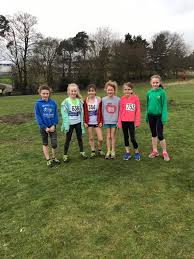 Image result for Cheltenham and County Harriers
