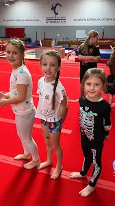 Image result for Cardiff Olympic Gymnastics Club